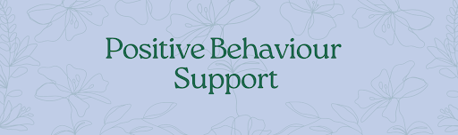 Introduction to Positive Behaviour Support (NDIS)